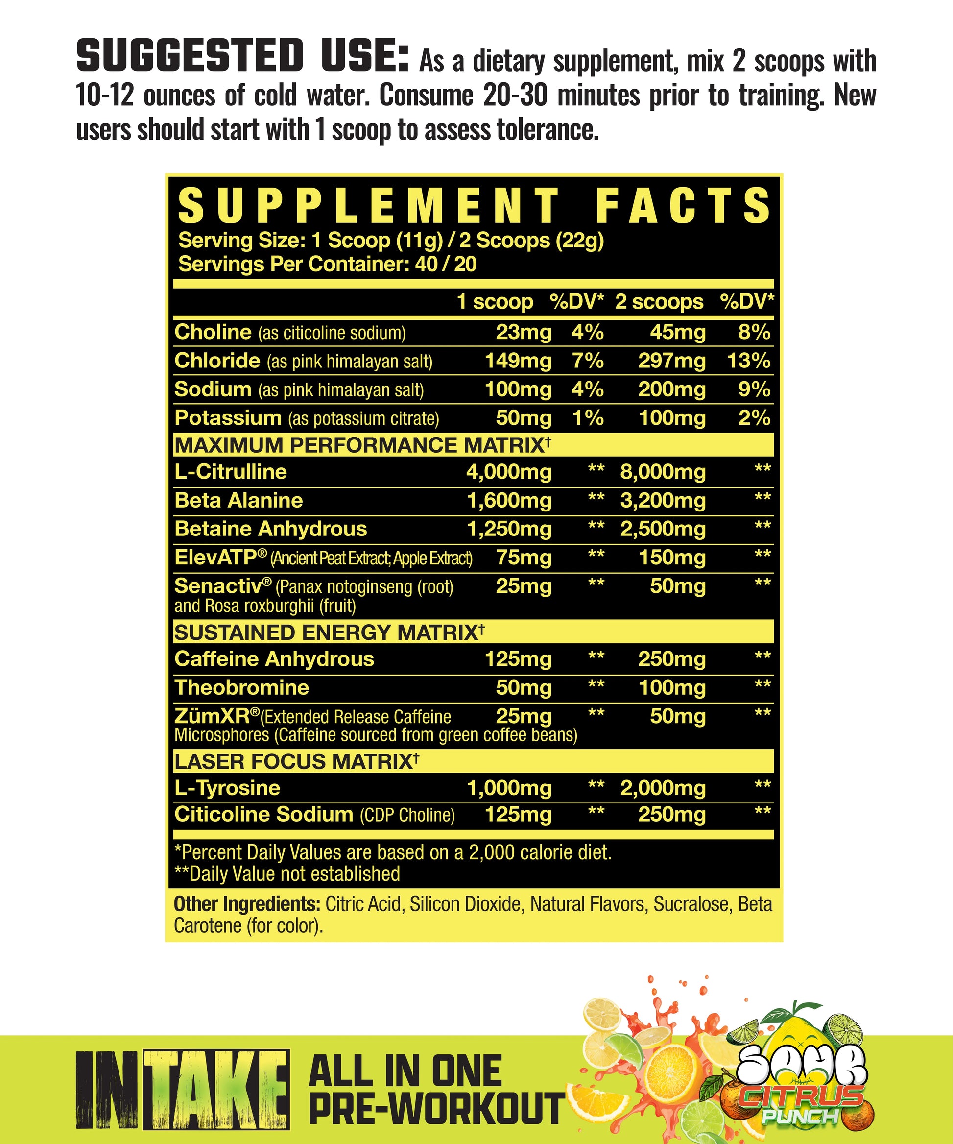 INTAKE | ALL-IN-ONE PRE-WORKOUT | SOUR CITRUS PUNCH